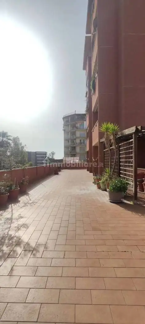 Appartamento via Don Carlo Torello, 85, Piccarello, Latina - foto 3