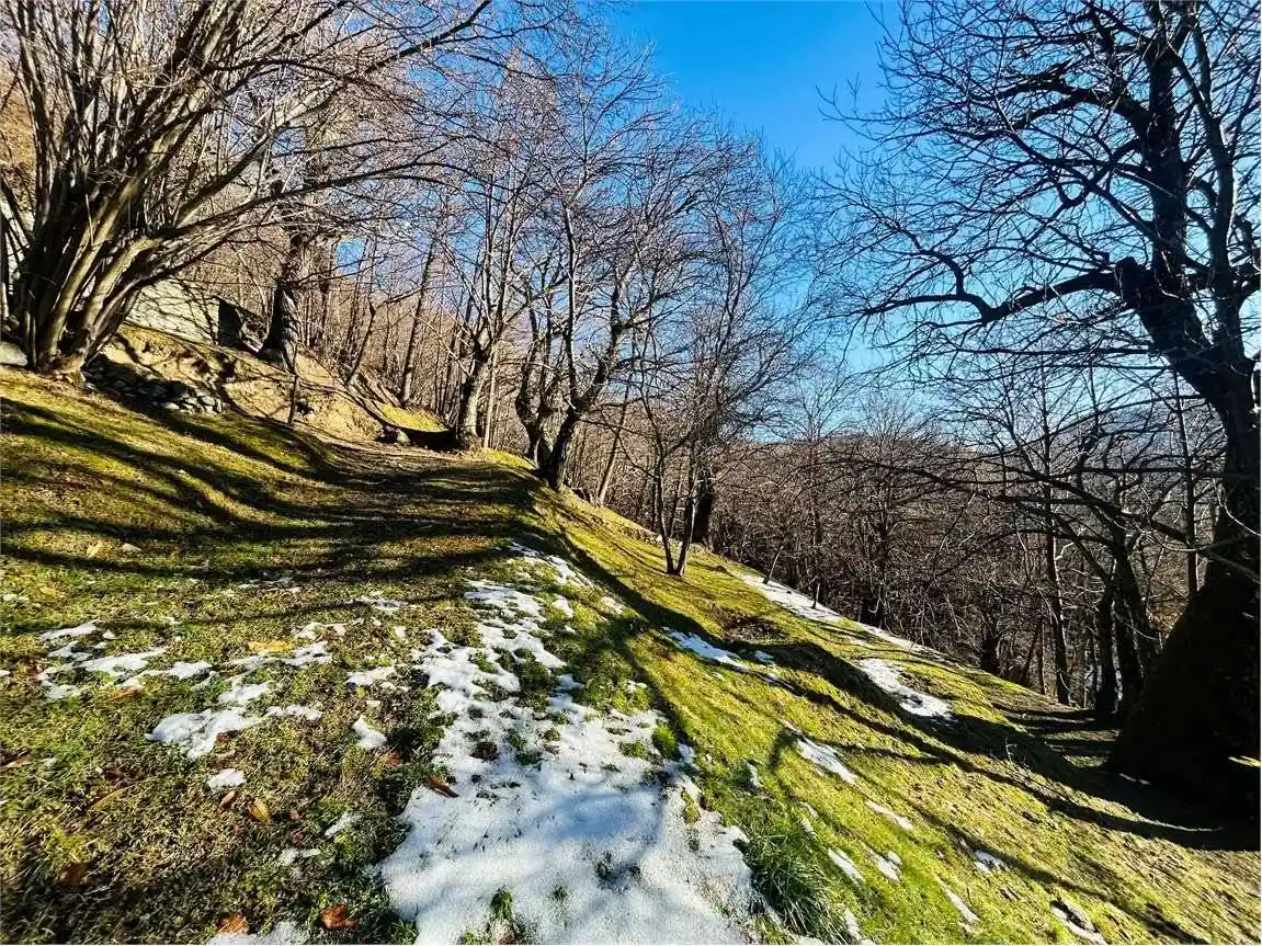Rustico frazione Porcirette Sottane, Ormea - foto 3