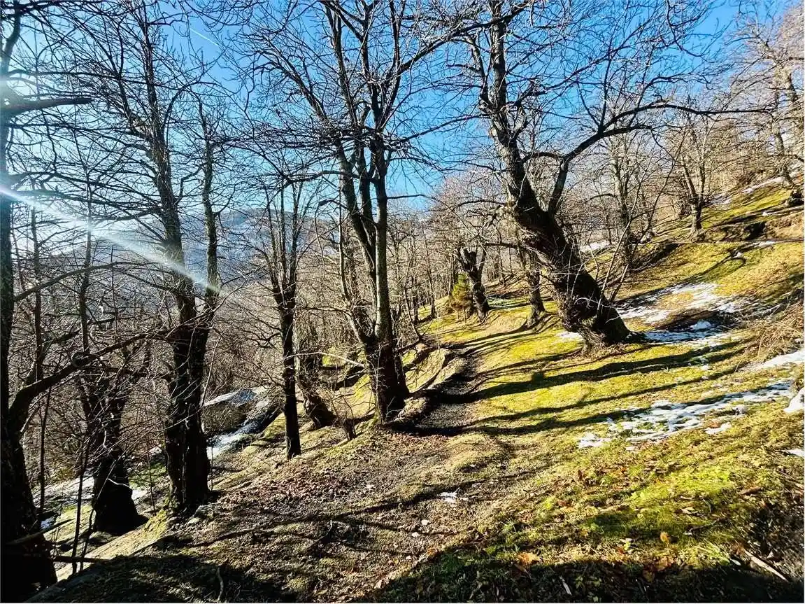 Rustico frazione Porcirette Sottane, Ormea - foto 4