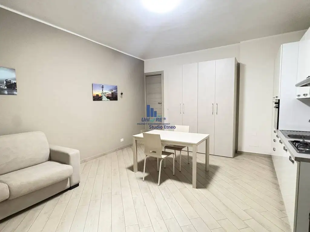 Monolocale via dell'Esperanto, Ferrarotto - Acquedotto Greco, Catania - foto 2