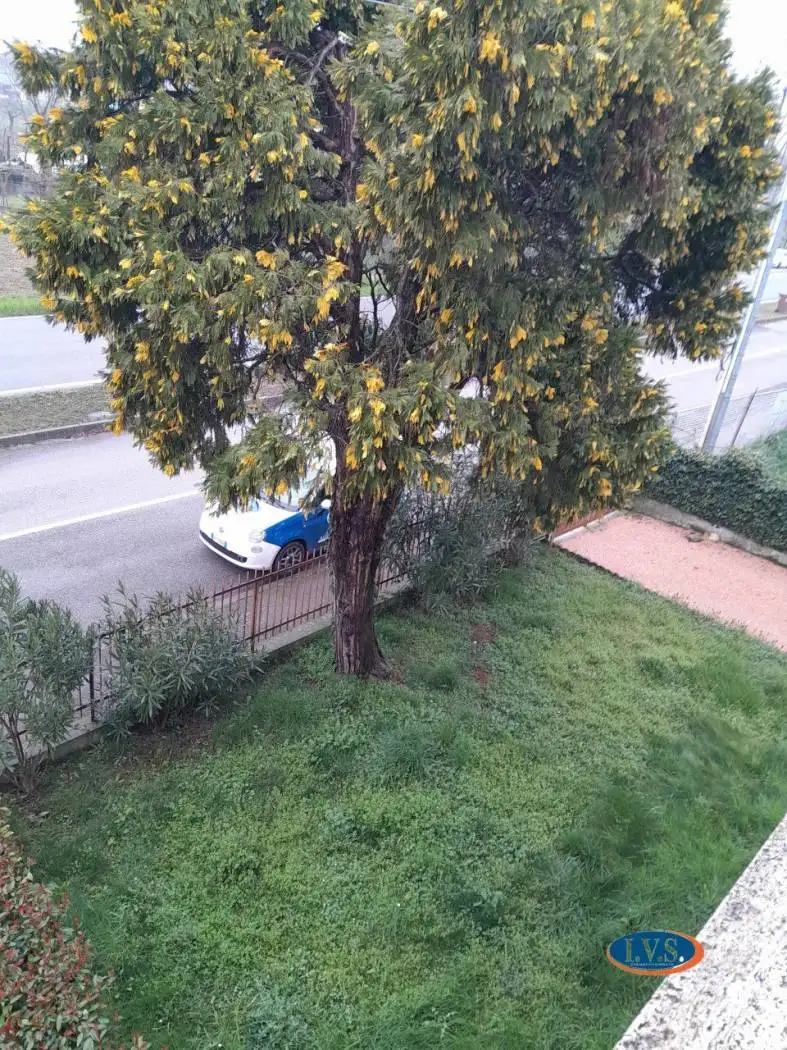 Appartamento in vendita a Montegaldella