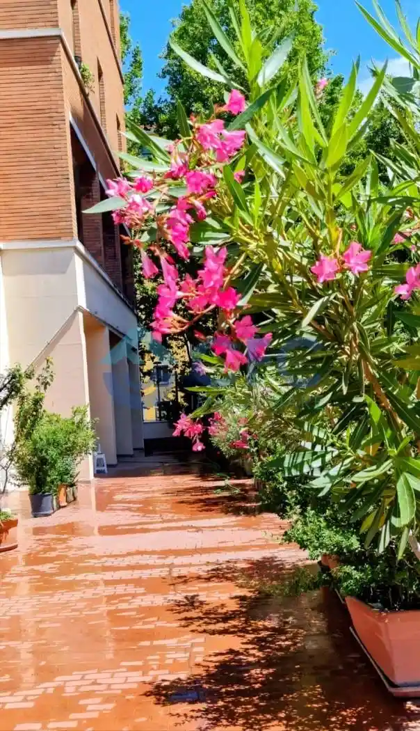 Appartamento viale Certosa 25, Portello - Parco Vittoria, Milano - foto 2