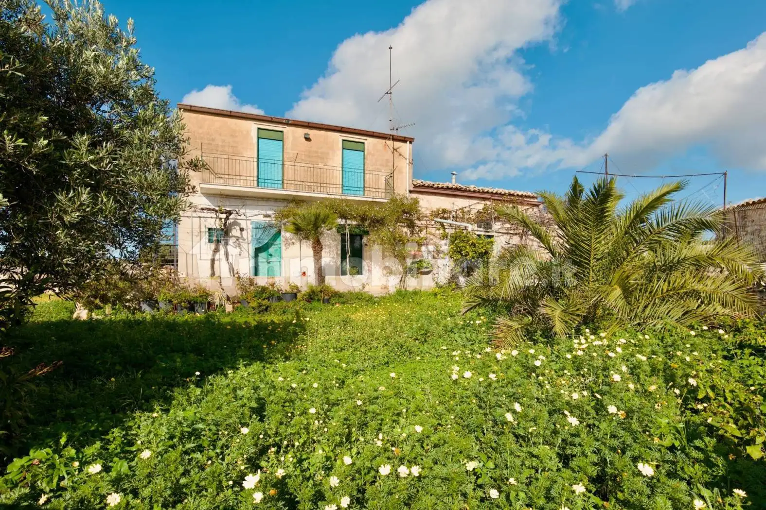 Villa unifamiliare via della Strelizia, Contrade di Marina di Ragusa, Ragusa - foto 3