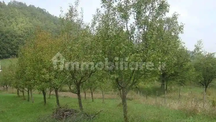 Villa unifamiliare via Muriana 900, Fanano - foto 5