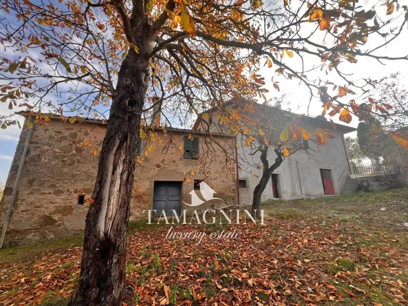 Rustico - Casale in vendita a Paciano