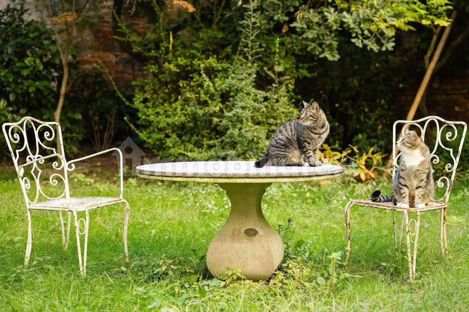 Trilocale Santa Croce 2073, Santa Croce, Venezia - foto 4