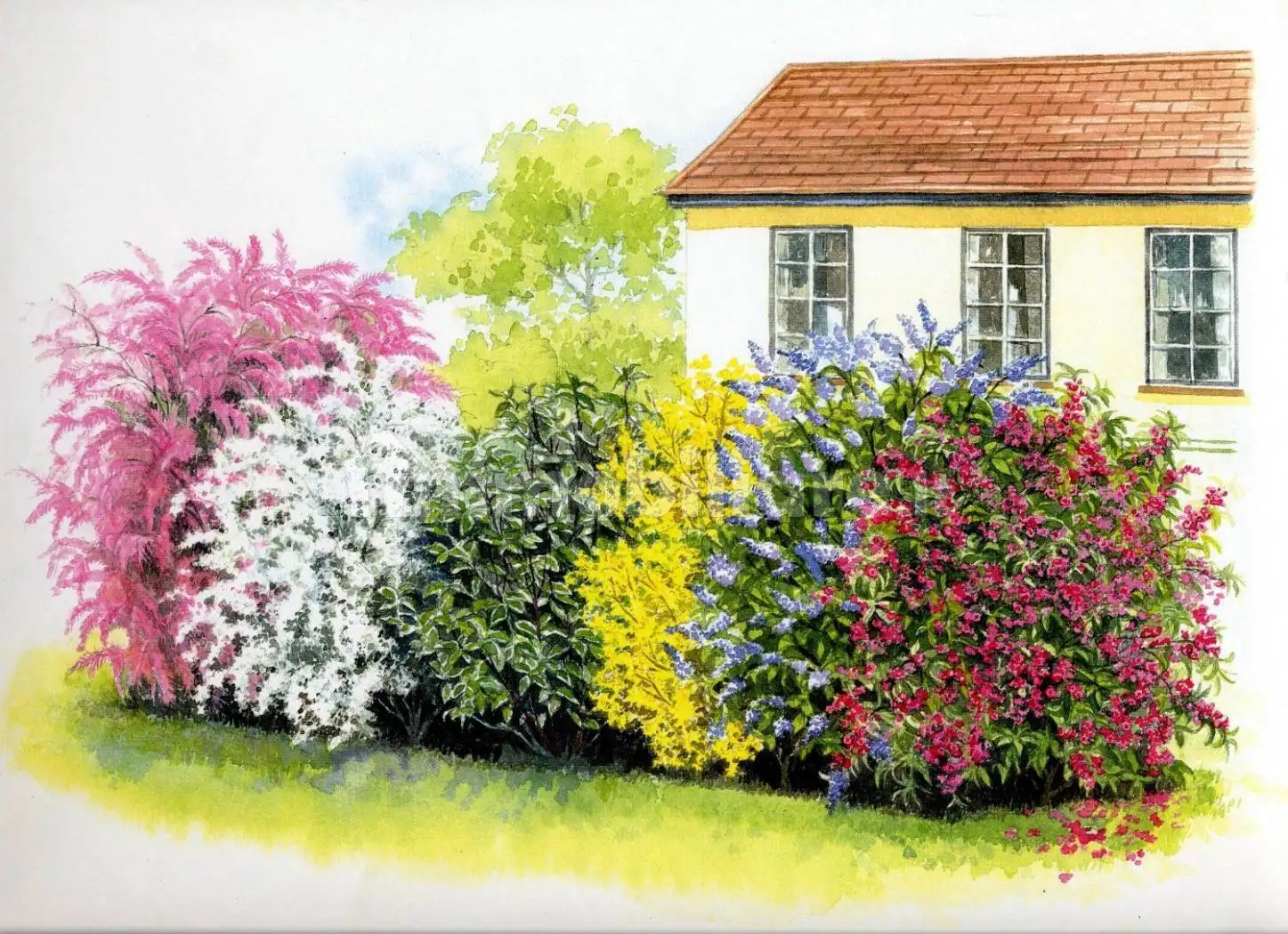 Villa in vendita a Castelfranco di Sotto