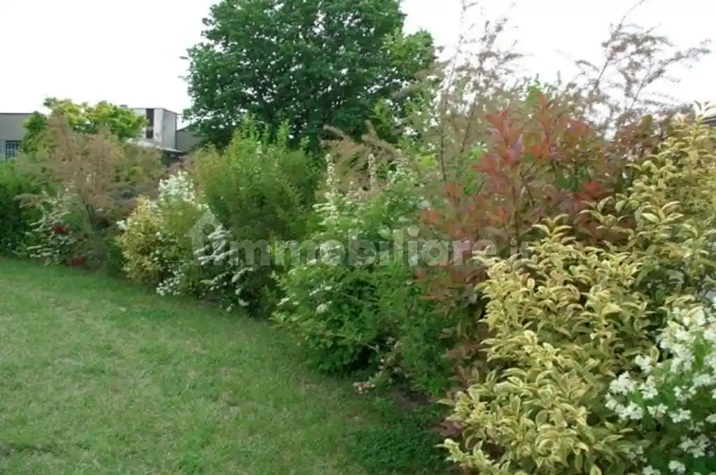 Villa unifamiliare, da ristrutturare, 570 m², Orentano, Castelfranco di Sotto - foto 3