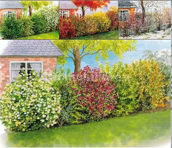 Villa unifamiliare, da ristrutturare, 570 m², Orentano, Castelfranco di Sotto - foto 4