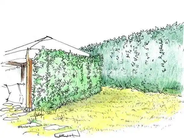 Villa unifamiliare, da ristrutturare, 570 m², Orentano, Castelfranco di Sotto - foto 5