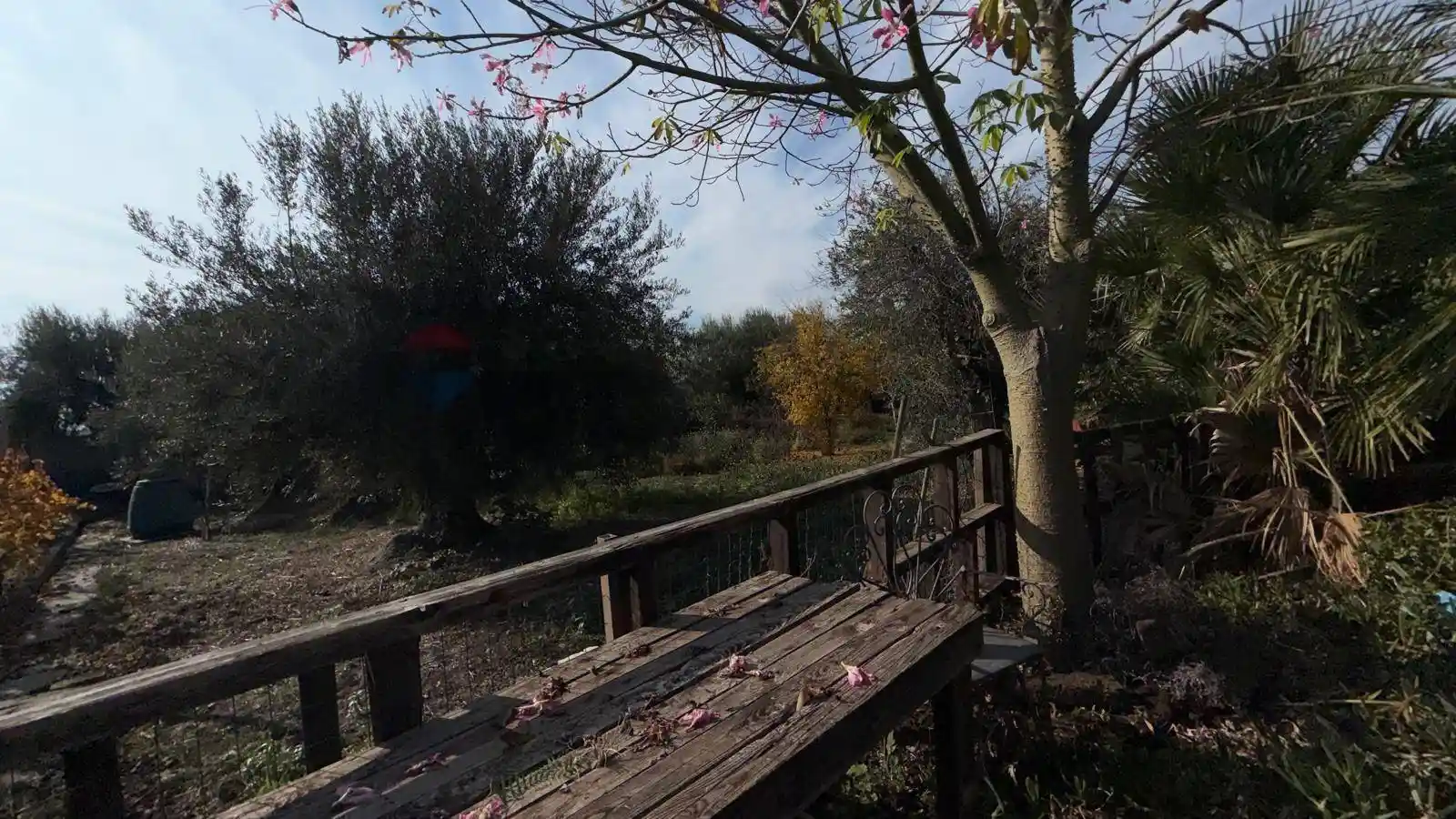 Villa unifamiliare Valcorrente San, Motta Sant'Anastasia - foto 2