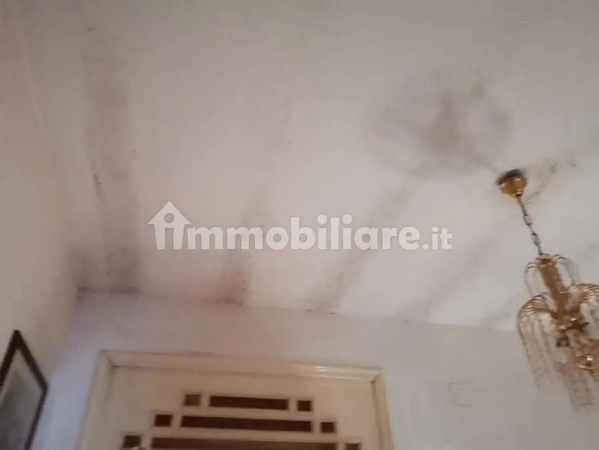 Palazzo - Stabile - foto 5