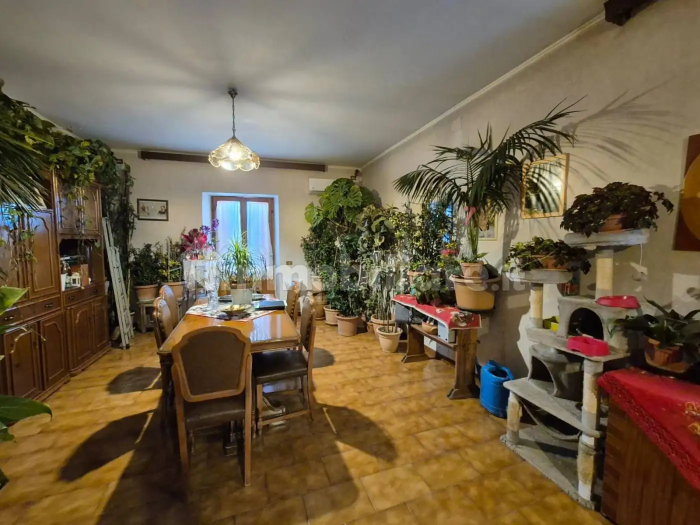 Villa unifamiliare via di Contrada Comune 35, Cigliolo, Via Ariana, Velletri - foto 2