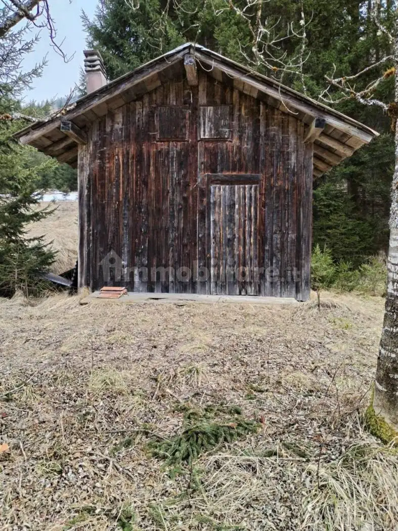 Rustico - Casale in vendita a Auronzo di Cadore