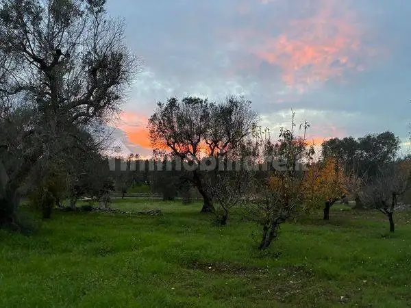 Casale Sp26, Ceglie Messapica - foto 2