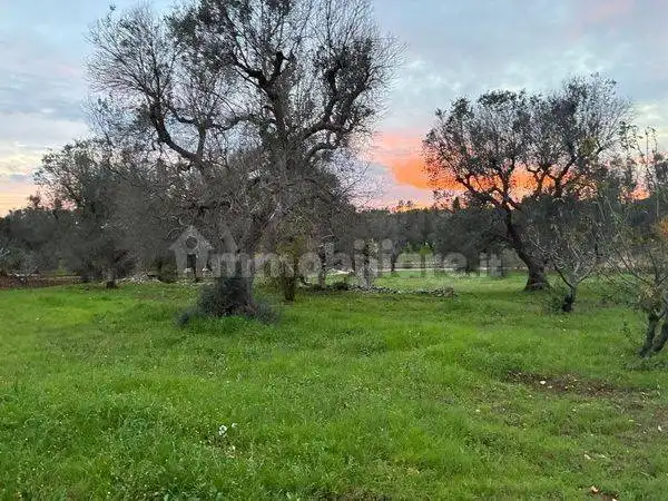 Casale Sp26, Ceglie Messapica - foto 4