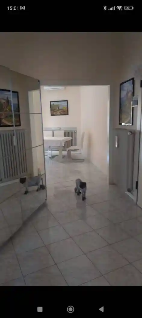 Trilocale Circonvallazione Fiume Montone Abbandonato 190, Centro Storico, Ravenna - foto 5