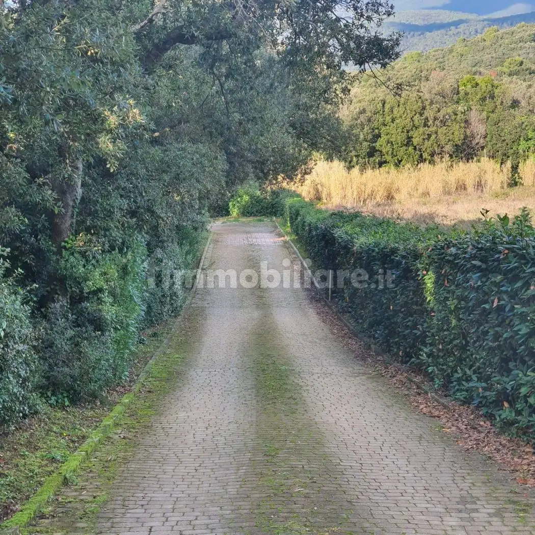 Bilocale Località Sassogrosso 77, Chioma, Nibbiaia, Rosignano Marittimo - foto 3