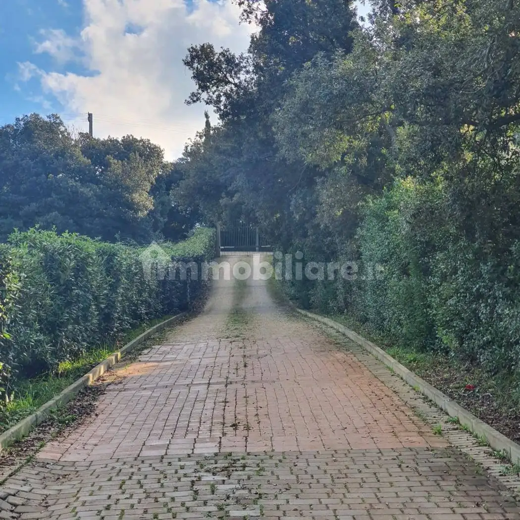 Bilocale Località Sassogrosso 77, Chioma, Nibbiaia, Rosignano Marittimo - foto 4