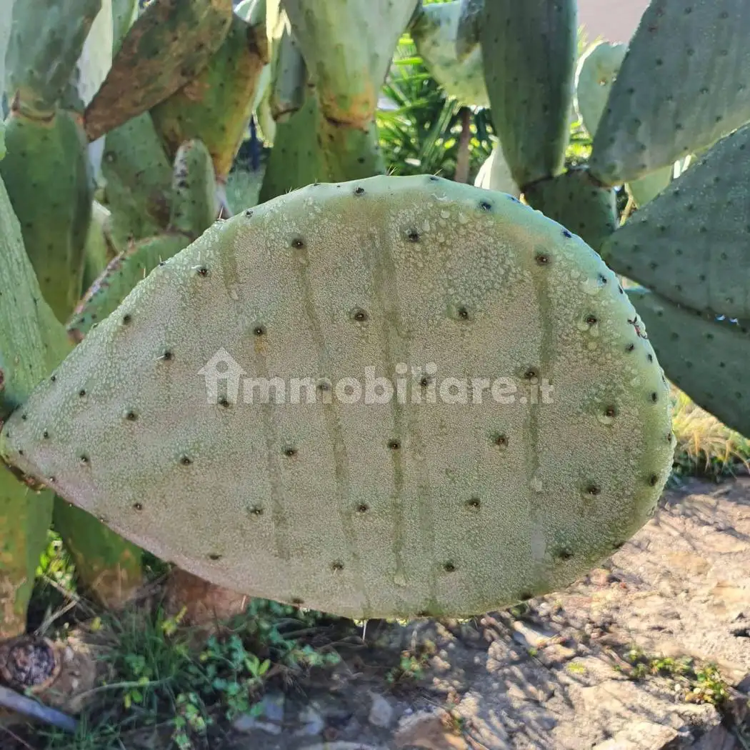 Bilocale Località Sassogrosso 77, Chioma, Nibbiaia, Rosignano Marittimo - foto 5