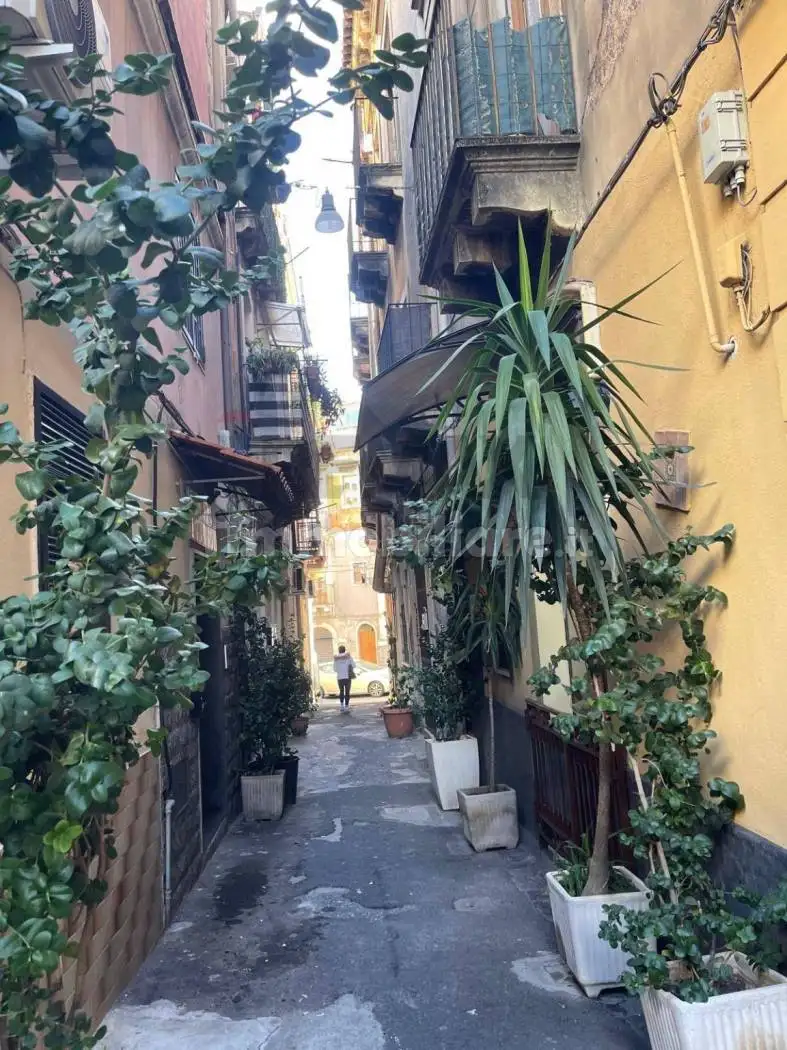 Casa indipendente in vendita a Catania