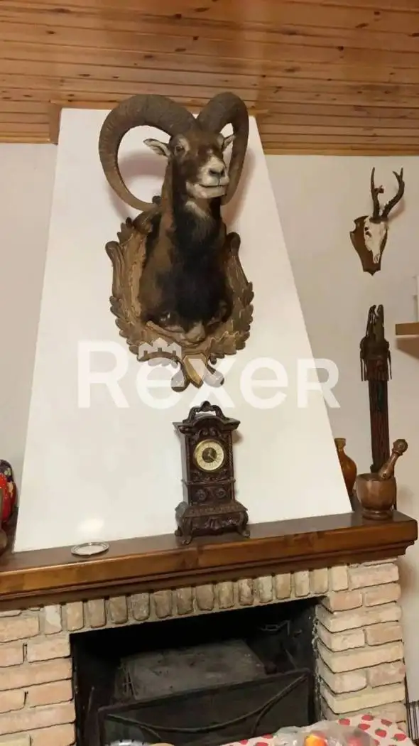 Bilocale via San Rocco, Centro, Branzi - foto 4