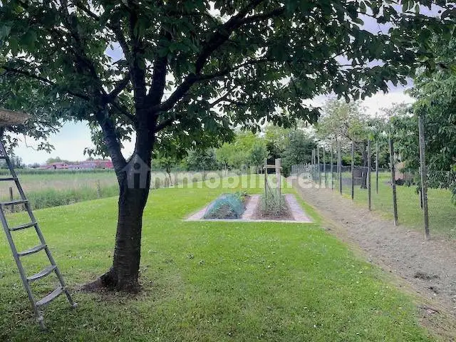 Appartamento buono stato, Centro, Salgareda - foto 5