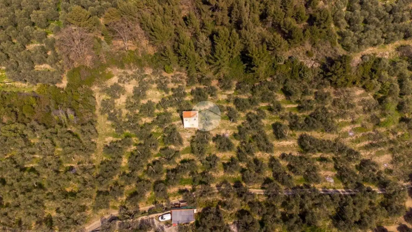 Rustico Strada Monte dei Campi, Caramagna, Imperia - foto 3