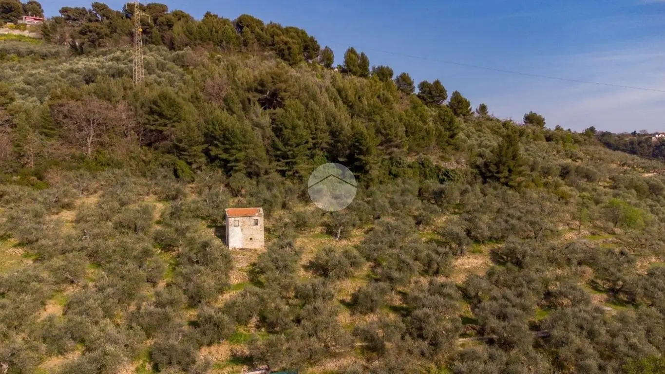 Rustico Strada Monte dei Campi, Caramagna, Imperia - foto 5