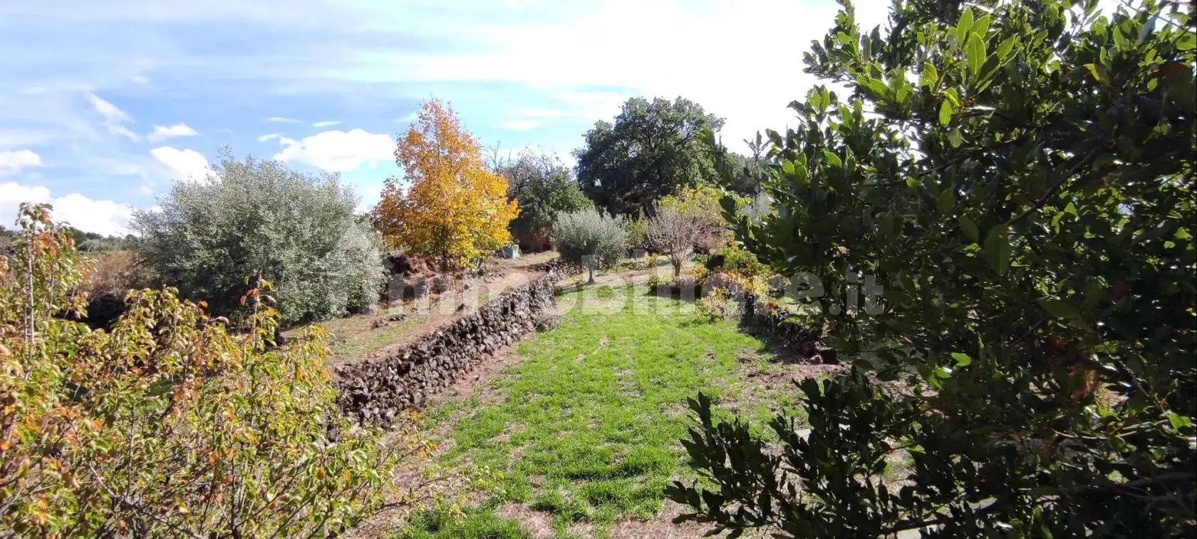 Casale Sp158, Biancavilla - foto 5