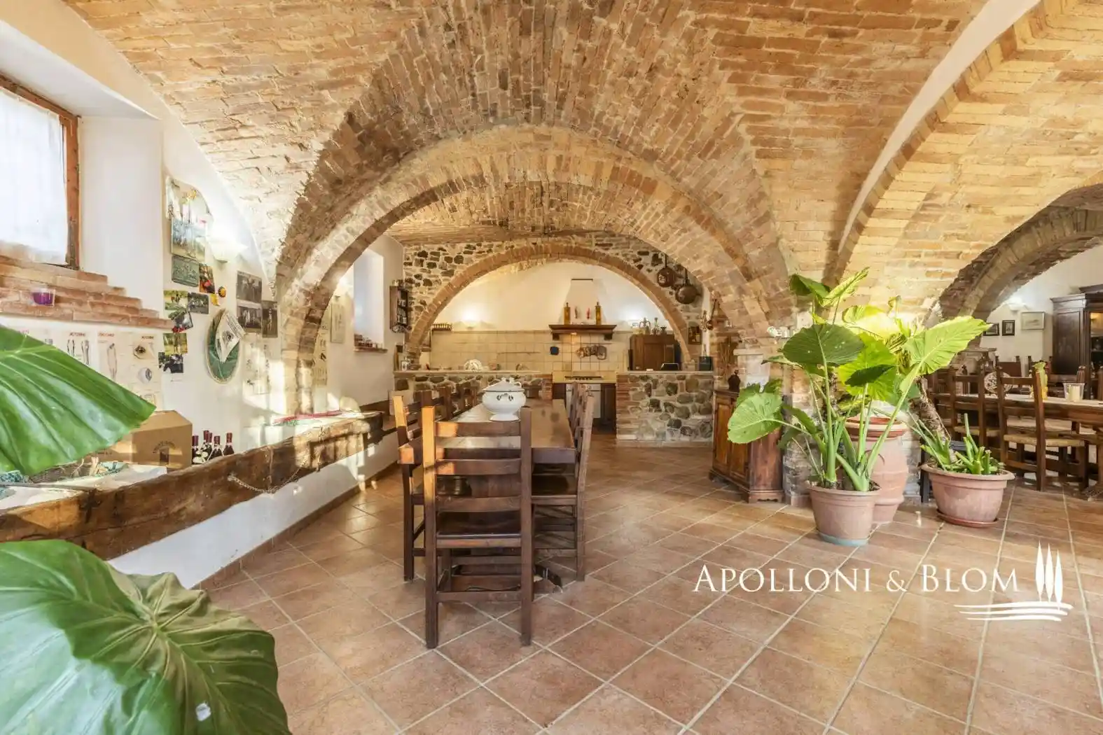 Rustico - Casale - foto 3