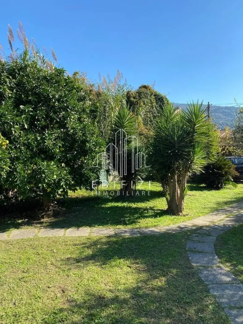 Terratetto unifamiliare 160 m², buono stato, Mirteto, Massa - foto 5