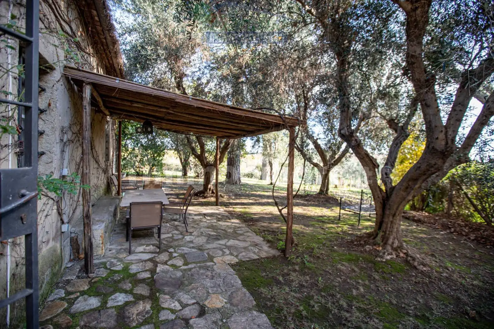 Rustico - Casale in affitto a Capalbio