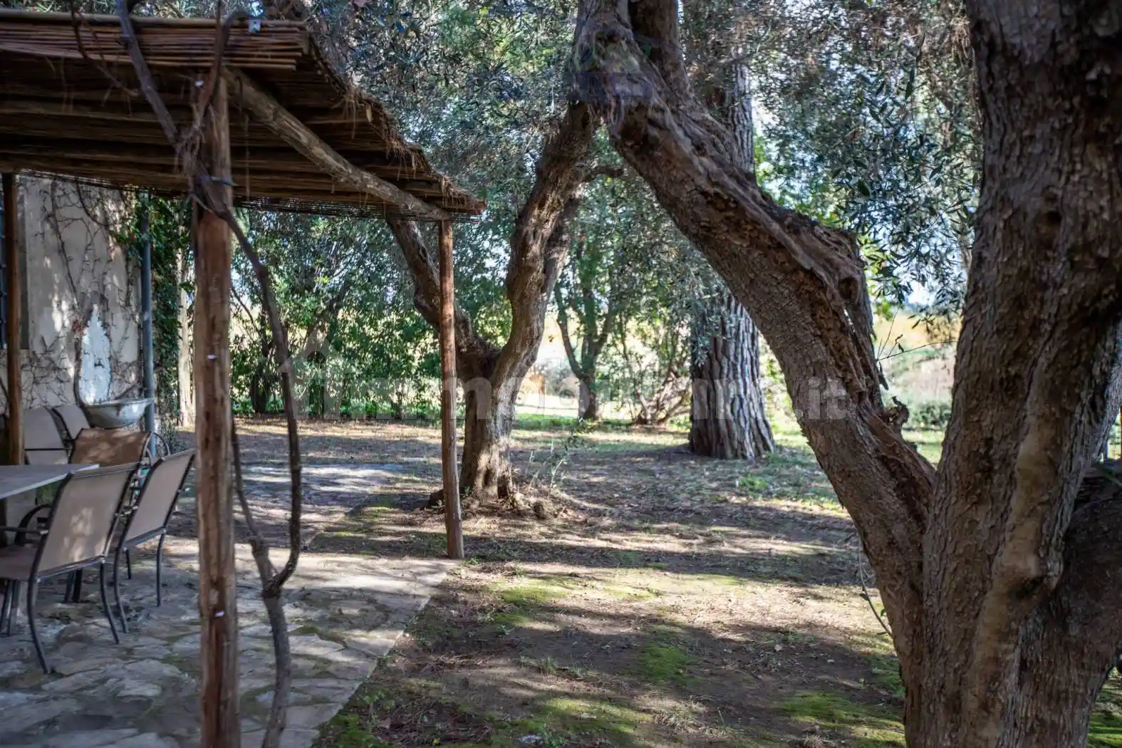 Casale Strada dell'Abbadia, Capalbio - foto 4