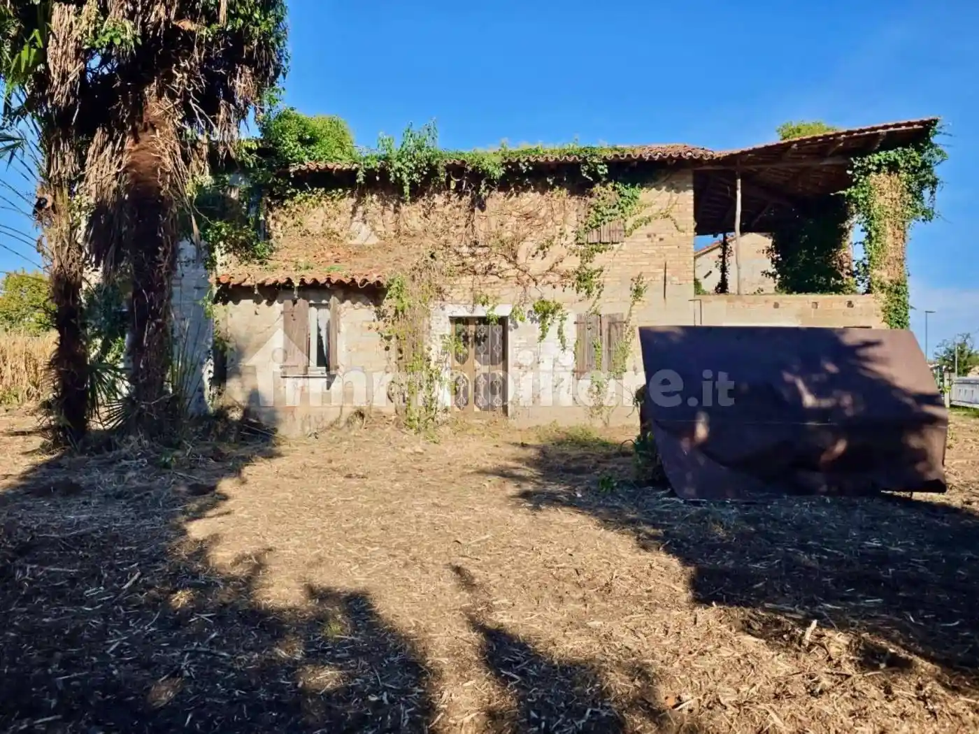 Rustico - Casale - foto 5