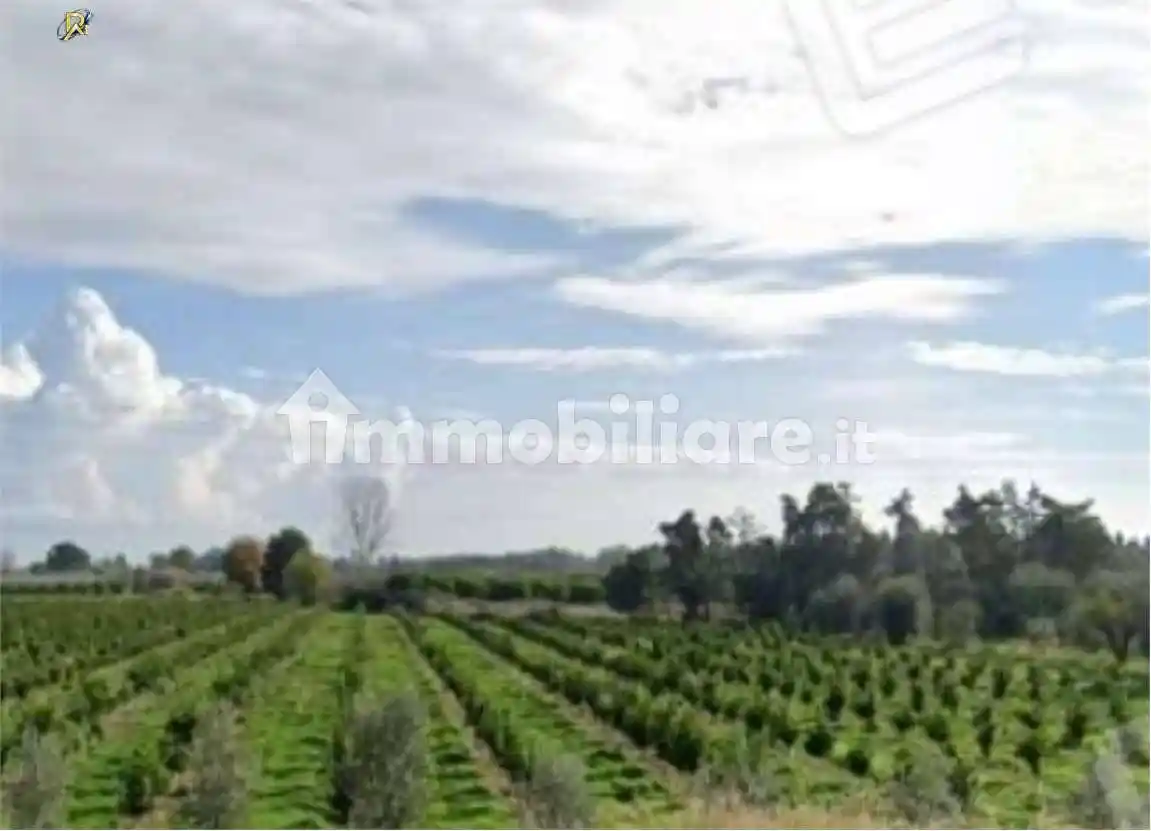 Appartamento all'asta Contrada laccata,, Nova Siri - foto 3