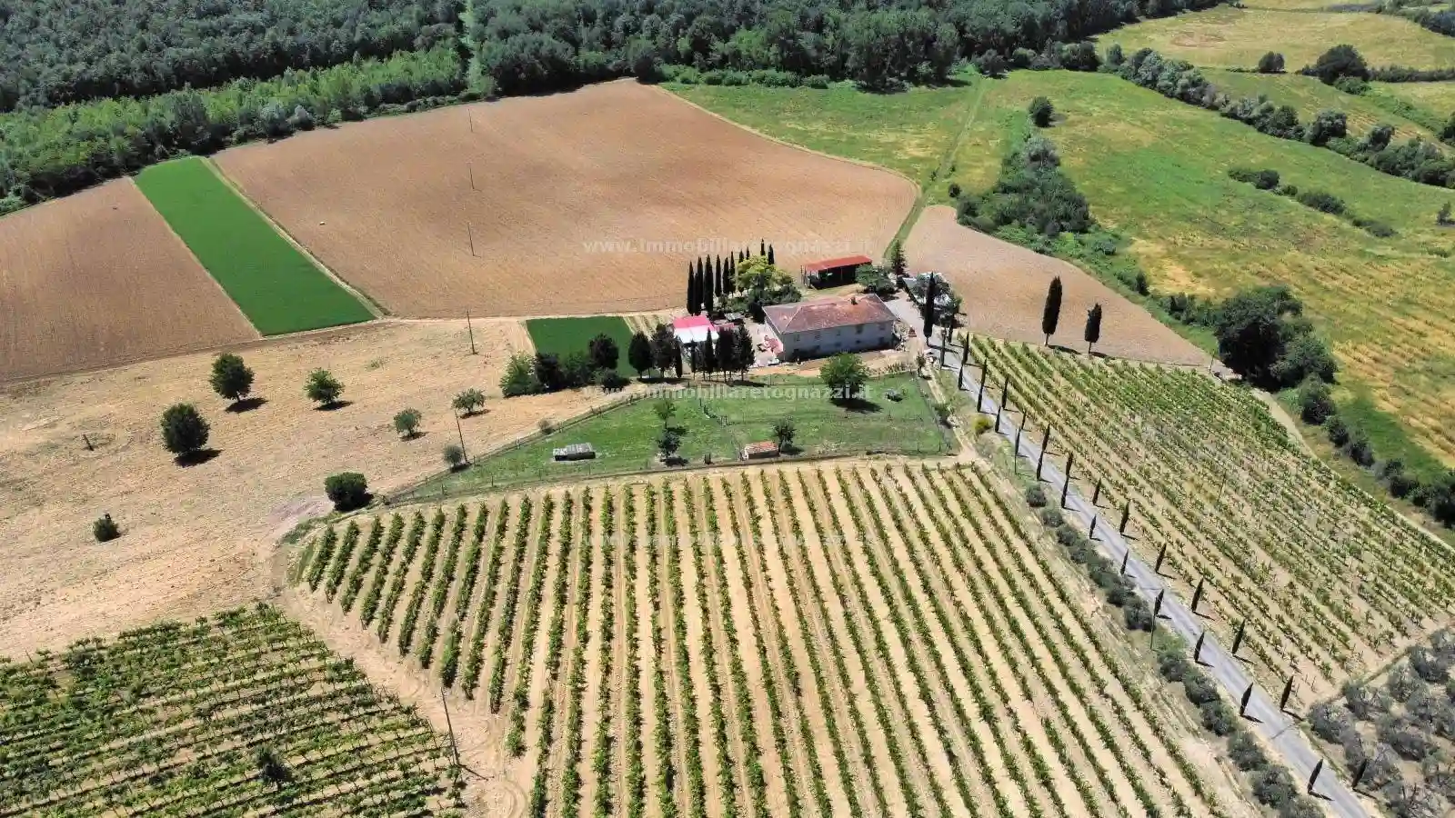 Rustico - Casale - foto 5