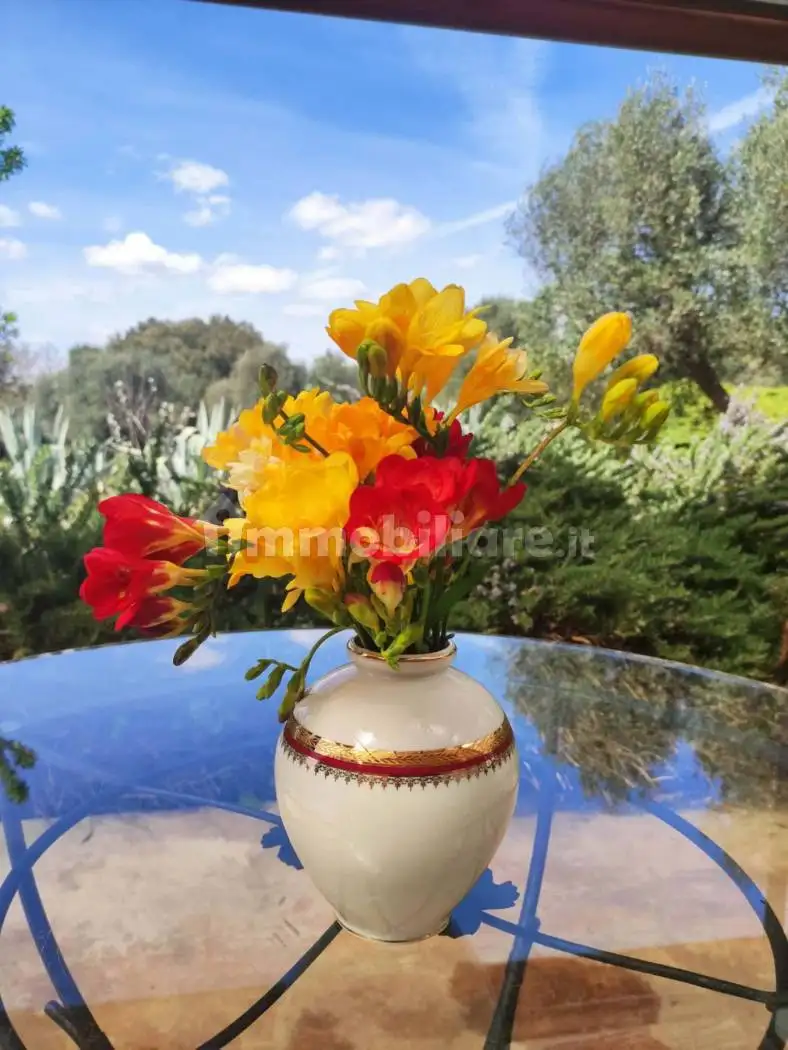 Quadrilocale Contrada Pascarosa, Campanile, Fumarola, Cavalleriza, Ostuni - foto 3