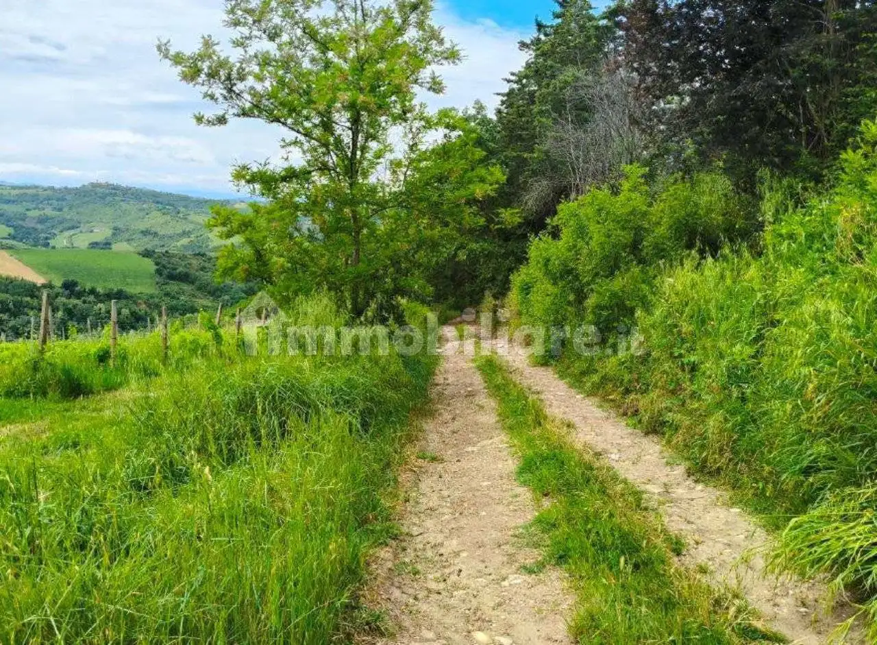 Appartamento all'asta frazione Tessello, Cesena - foto 2