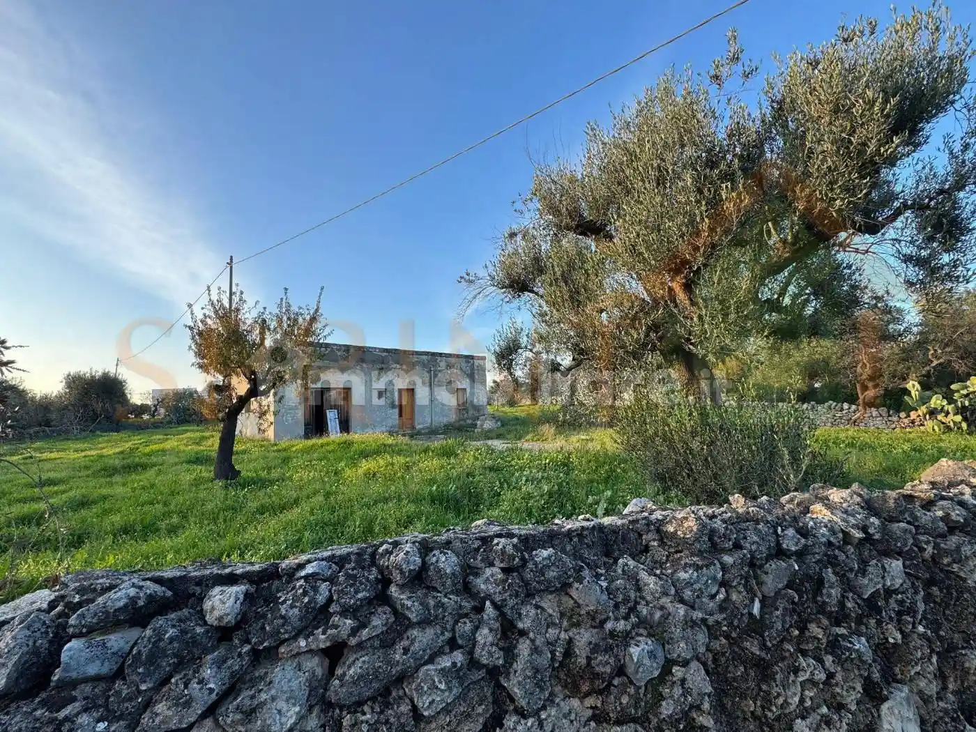 Rustico - Casale in vendita a Monopoli