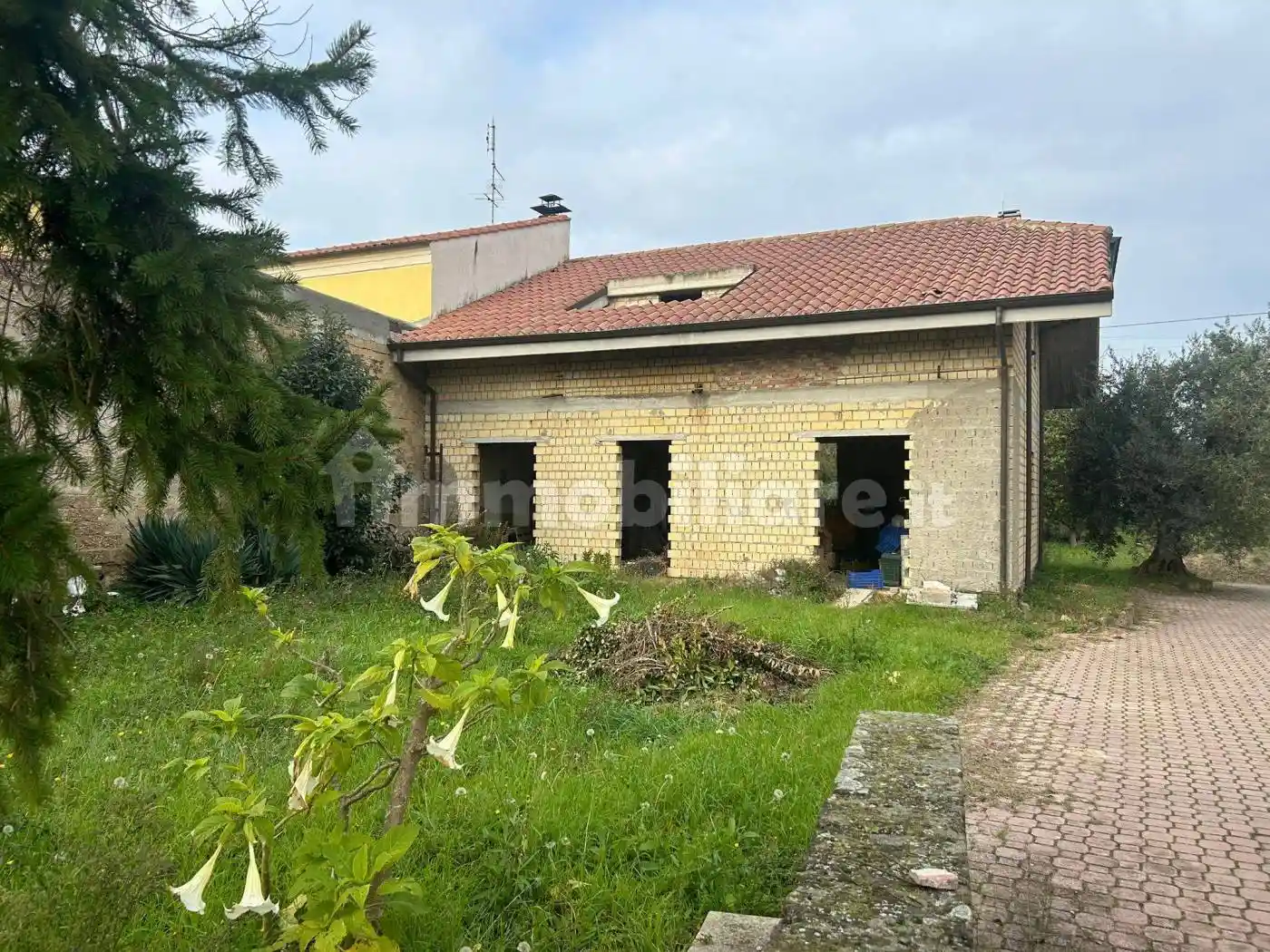 Palazzo - Edificio - foto 5