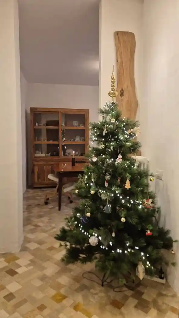 Trilocale via dei Mille, Centro, Barzanò - foto 4