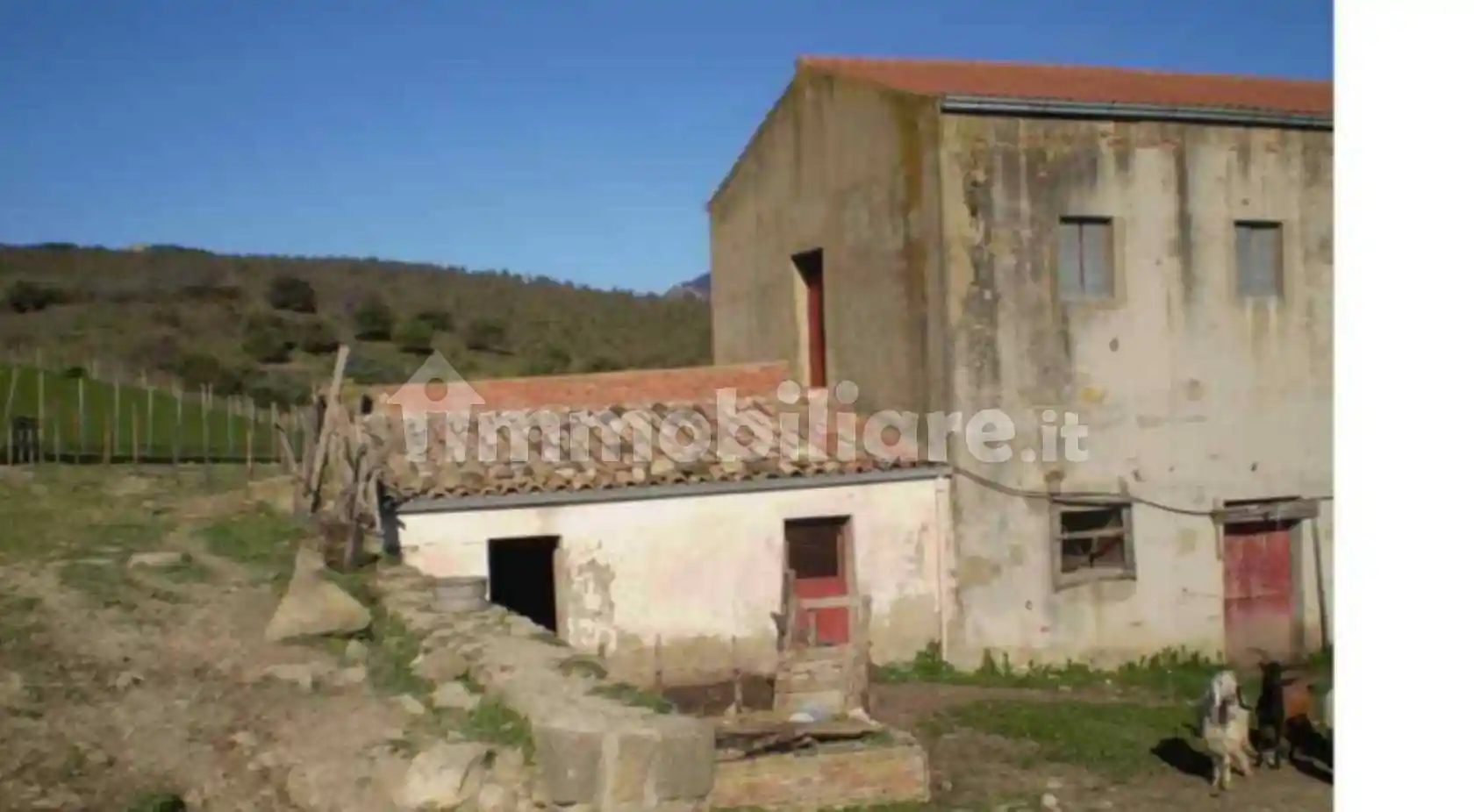 Rustico - Casale - foto 4