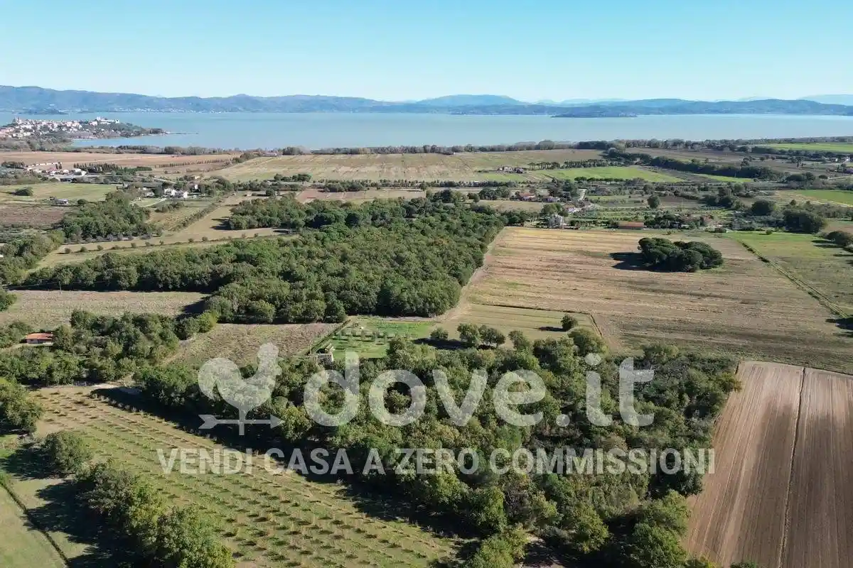 Rustico Località Cascina snc, Vitellino, Castiglione del Lago - foto 4