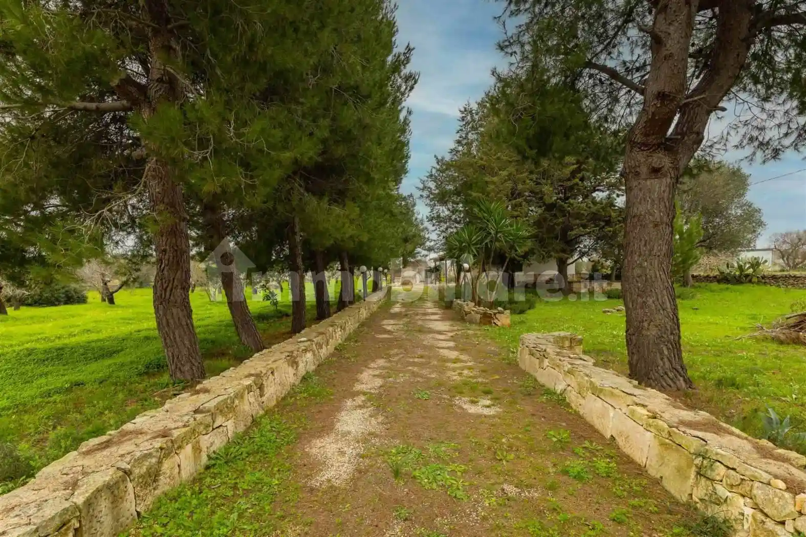 Villa unifamiliare Contrada Acquarella, Santa Caterina, Ramunno, Chianchizzo, Ostuni - foto 3