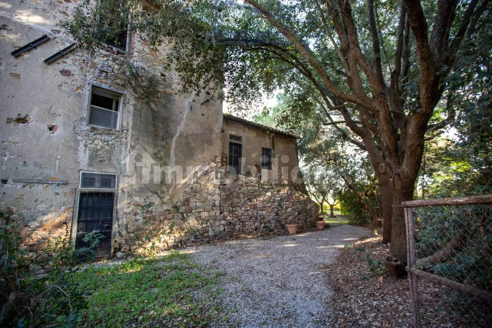 Rustico - Casale in affitto a Capalbio