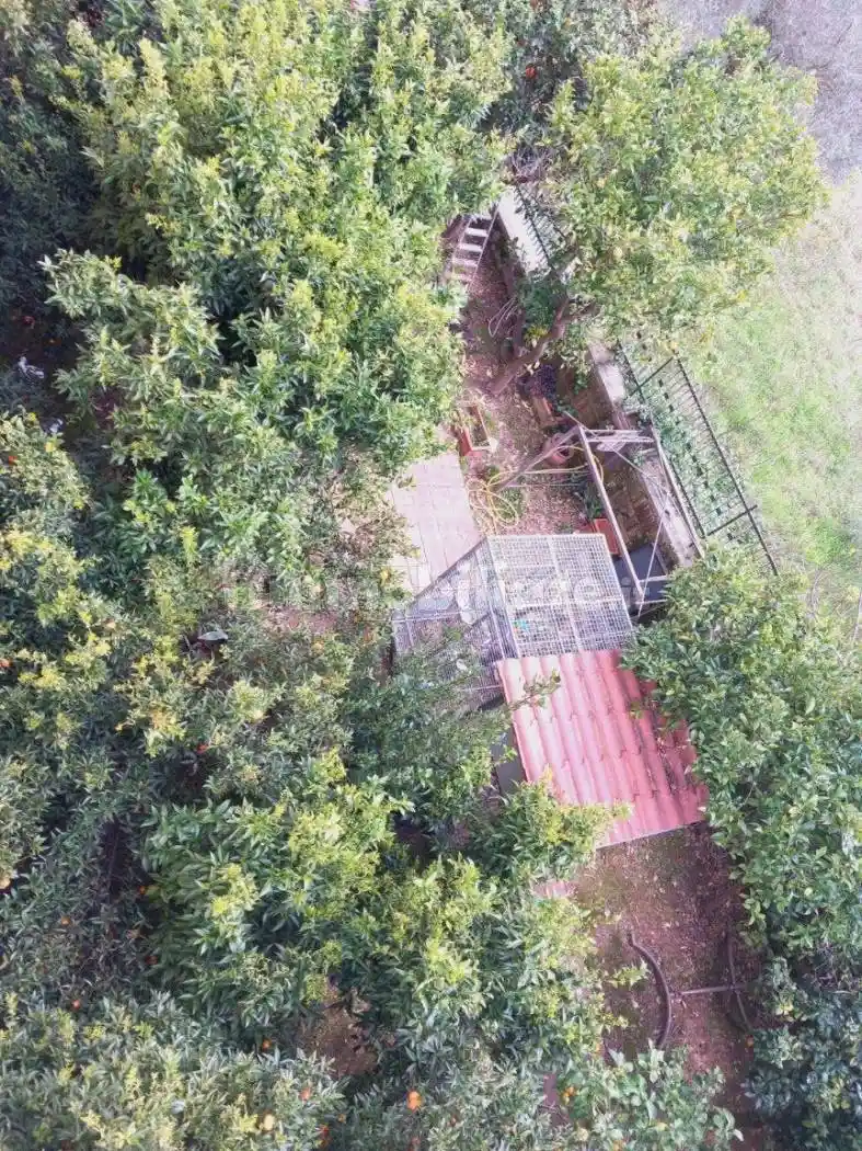 Quadrilocale via Maria Sofia di Baviera, San Leucio - Briano, Caserta - foto 3