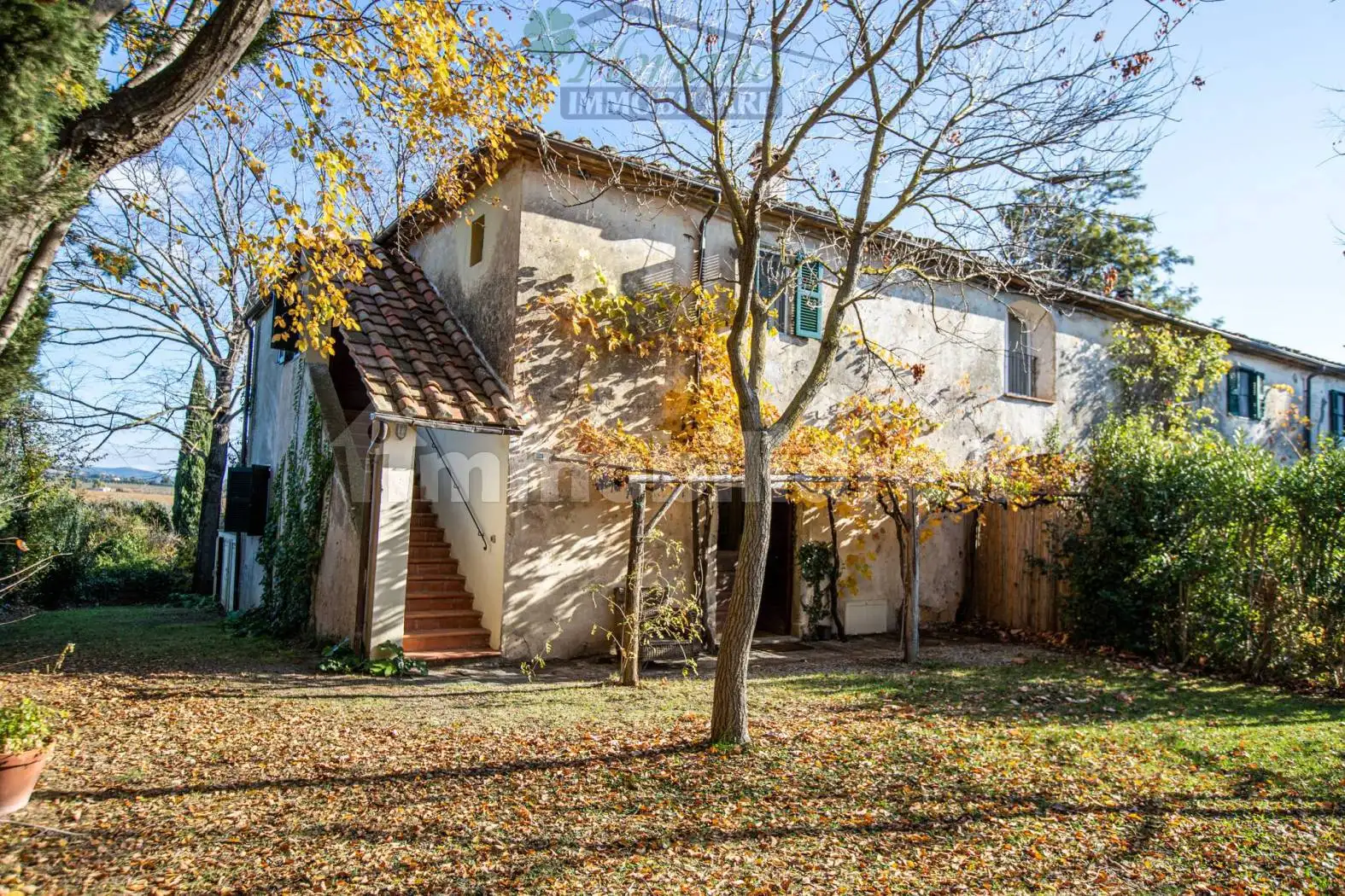 Rustico - Casale in affitto a Capalbio