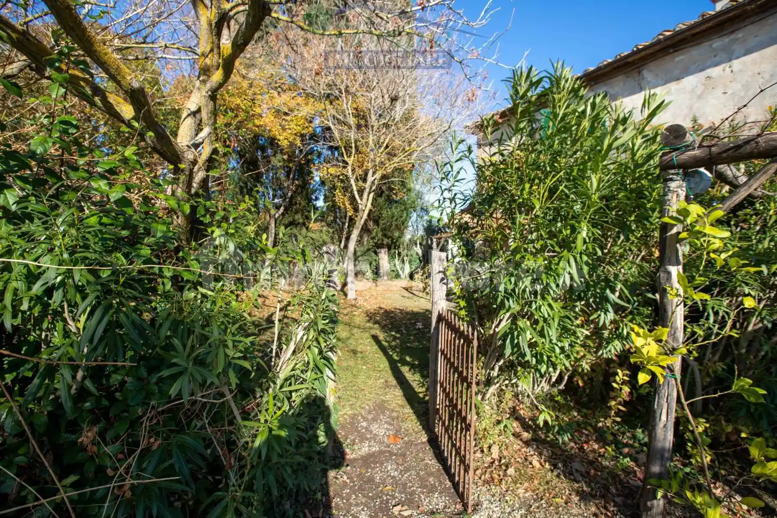 Casale Strada Poggio la Pescia, Capalbio - foto 5