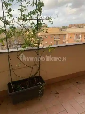 Appartamento via San Francesco di Paola, Matteotti, Uliveto, Buonarroti, Civitavecchia - foto 2